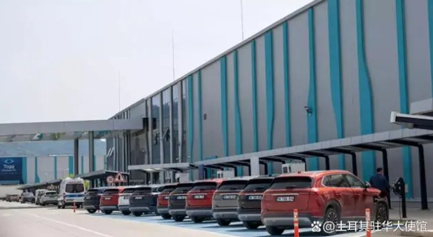 Togg在2024年前8個月引領土耳其電動汽車市場發展