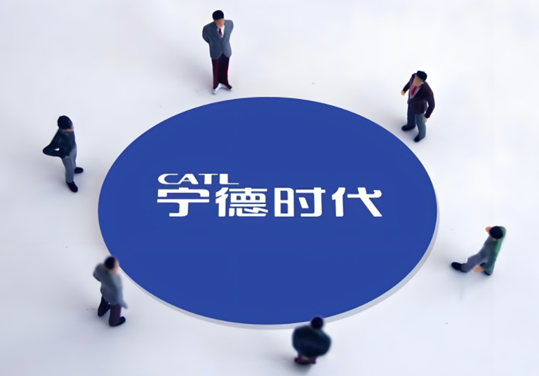 年度凈利潤490億，新能源車市的第四座大山！