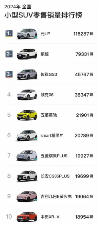 2024年，各級別SUV銷冠都是誰？