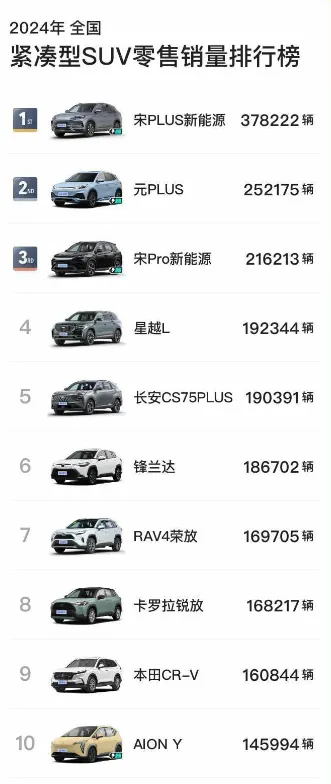 2024年，各級別SUV銷冠都是誰？