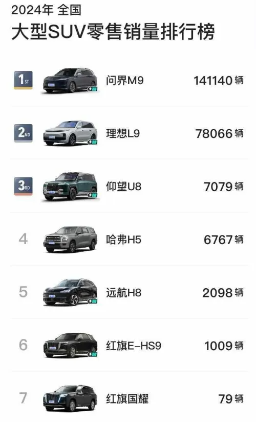 2024年，各級別SUV銷冠都是誰？