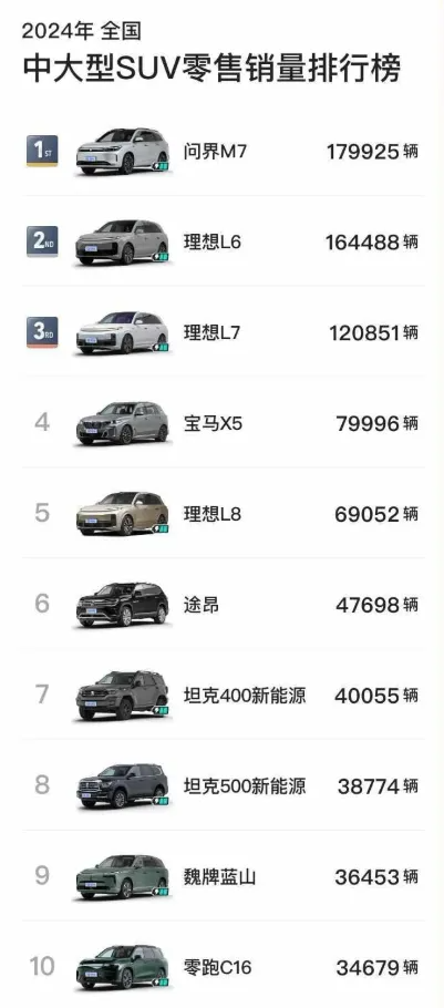 2024年，各級別SUV銷冠都是誰？