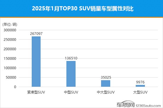 2025年1月TOP30SUV銷量投訴量對應點評